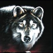akela